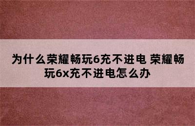 为什么荣耀畅玩6充不进电 荣耀畅玩6x充不进电怎么办